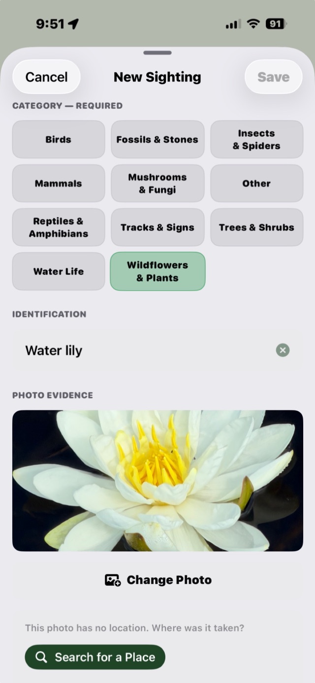 The BioLog app's New Sighting screen: a photo of a white water lily, with Wildflowers and Plants chosen as its category.